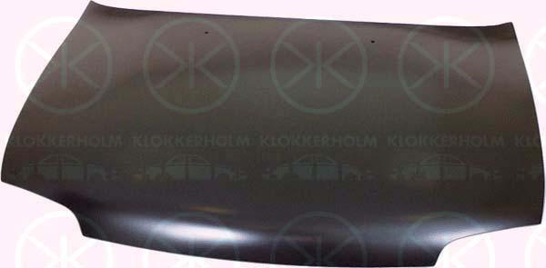 Klokkerholm 1608280 Капот 1608280: Купити в Україні - Добра ціна на EXIST.UA!