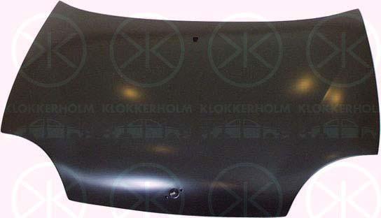 Klokkerholm 2031280 Капот 2031280: Купити в Україні - Добра ціна на EXIST.UA!