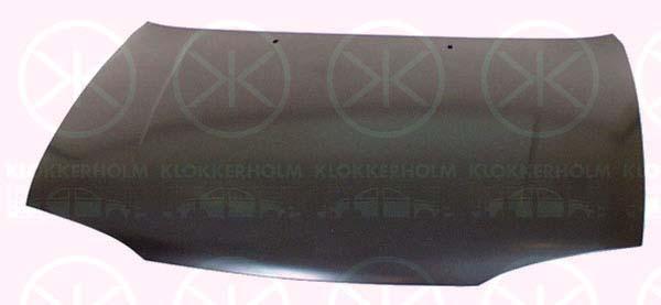 Klokkerholm 2553280 Капот 2553280: Купити в Україні - Добра ціна на EXIST.UA!