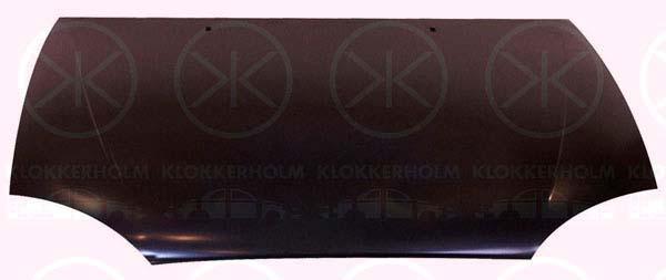 Klokkerholm 2563282A1 Капот 2563282A1: Купити в Україні - Добра ціна на EXIST.UA!