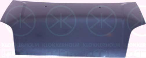 Klokkerholm 2564280A1 Капот 2564280A1: Купити в Україні - Добра ціна на EXIST.UA!