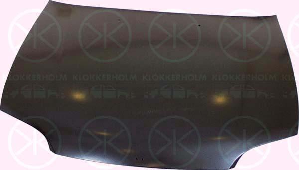Klokkerholm 2911280 Капот 2911280: Купити в Україні - Добра ціна на EXIST.UA!