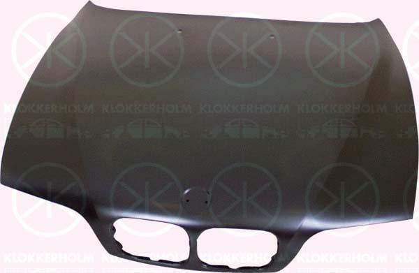 Klokkerholm 0065280 Капот 0065280: Купити в Україні - Добра ціна на EXIST.UA!