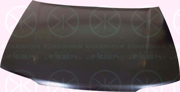 Klokkerholm 2921280A1 Капот 2921280A1: Купити в Україні - Добра ціна на EXIST.UA!