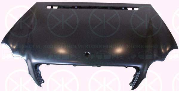 Klokkerholm 3515280 Капот 3515280: Купити в Україні - Добра ціна на EXIST.UA!