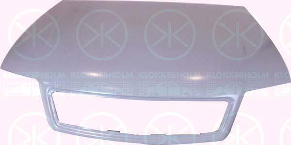 Klokkerholm 0014280 Капот 0014280: Купити в Україні - Добра ціна на EXIST.UA!