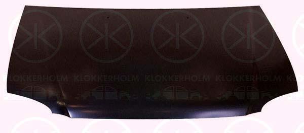 Klokkerholm 2955280A1 Капот 2955280A1: Приваблива ціна - Купити в Україні на EXIST.UA!