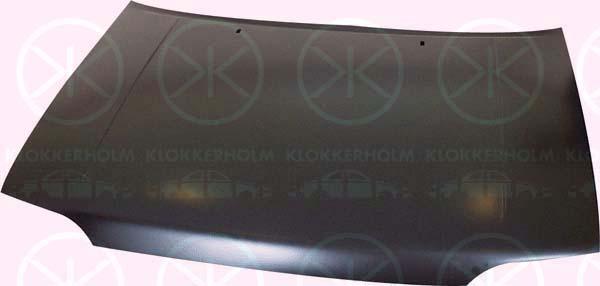 Klokkerholm 2530280 Капот 2530280: Купити в Україні - Добра ціна на EXIST.UA!