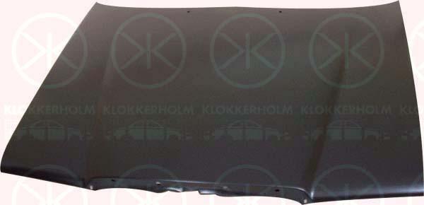 Klokkerholm 3525280 Капот 3525280: Купити в Україні - Добра ціна на EXIST.UA!