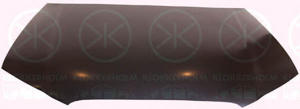 Klokkerholm 0026281A1 Капот 0026281A1: Купити в Україні - Добра ціна на EXIST.UA!