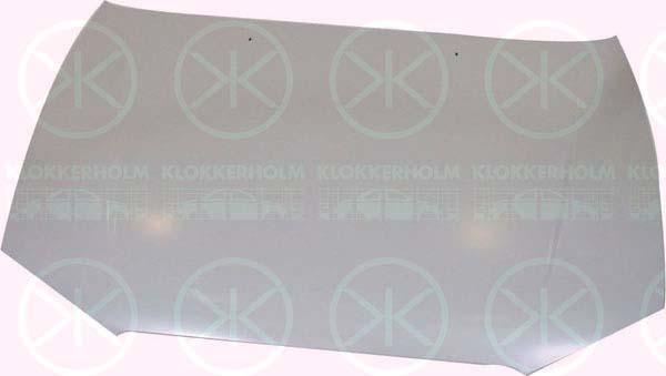 Klokkerholm 3155280A1 Капот 3155280A1: Купити в Україні - Добра ціна на EXIST.UA!