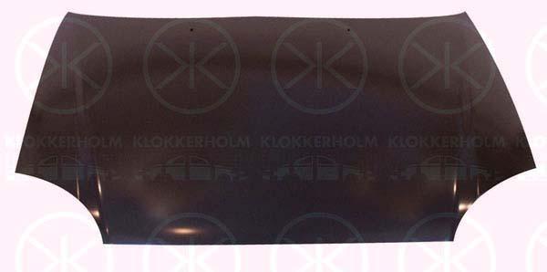 Klokkerholm 3155282 Капот 3155282: Купити в Україні - Добра ціна на EXIST.UA!