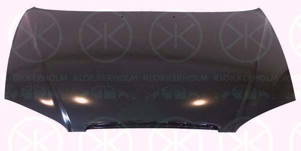 Klokkerholm 3164280A1 Капот 3164280A1: Купити в Україні - Добра ціна на EXIST.UA!
