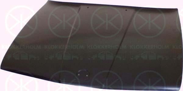 Klokkerholm 0054280 Капот 0054280: Купити в Україні - Добра ціна на EXIST.UA!
