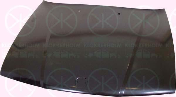 Klokkerholm 0057281 Капот 0057281: Купити в Україні - Добра ціна на EXIST.UA!