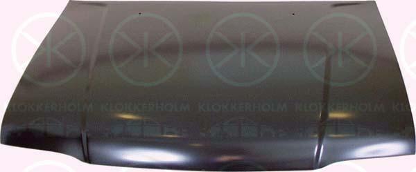 Klokkerholm 3290280 Капот 3290280: Купити в Україні - Добра ціна на EXIST.UA!