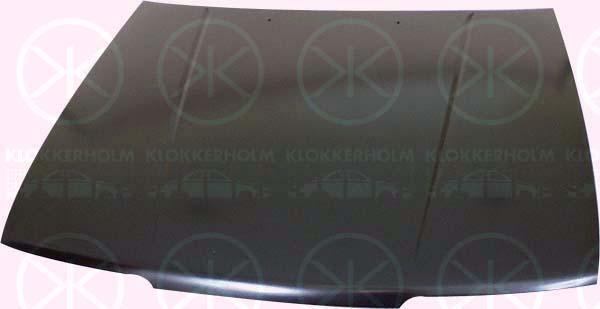 Klokkerholm 3438280 Капот 3438280: Купити в Україні - Добра ціна на EXIST.UA!