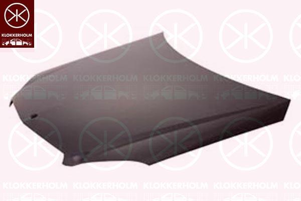 Klokkerholm 3518280A1 Капот 3518280A1: Купити в Україні - Добра ціна на EXIST.UA!