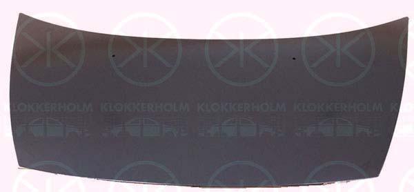Klokkerholm 0519280A1 Капот 0519280A1: Купити в Україні - Добра ціна на EXIST.UA!