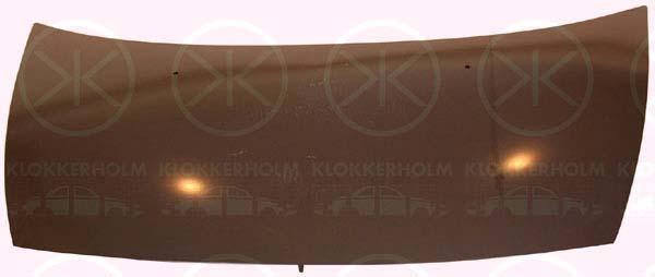 Klokkerholm 0519281A1 Капот 0519281A1: Купити в Україні - Добра ціна на EXIST.UA!