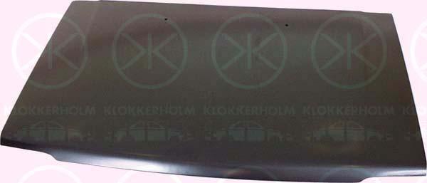 Klokkerholm 1604281 Капот 1604281: Купити в Україні - Добра ціна на EXIST.UA!