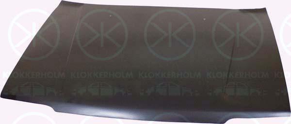 Klokkerholm 1626280 Капот 1626280: Купити в Україні - Добра ціна на EXIST.UA!