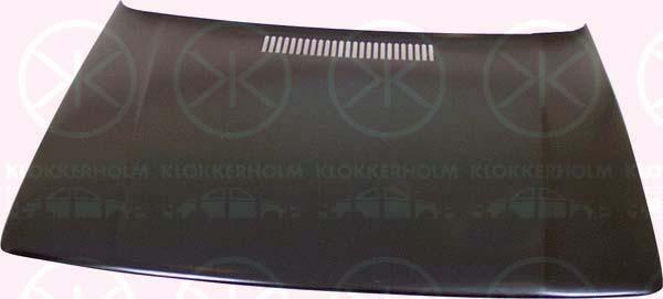 Klokkerholm 2040280 Капот 2040280: Купити в Україні - Добра ціна на EXIST.UA!