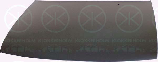 Klokkerholm 5050280A1 Капот 5050280A1: Купити в Україні - Добра ціна на EXIST.UA!