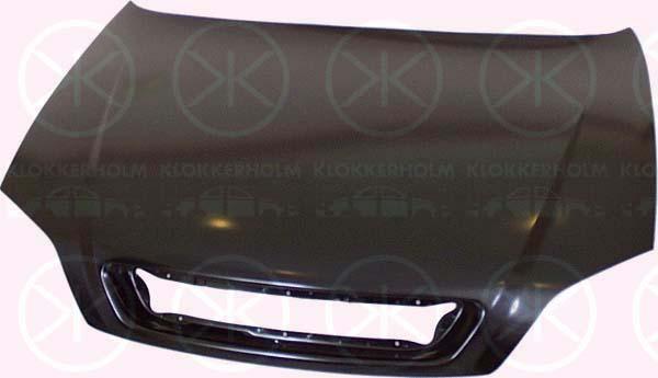 Klokkerholm 5051280 Капот 5051280: Купити в Україні - Добра ціна на EXIST.UA!