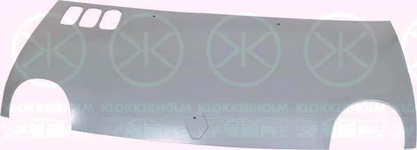 Klokkerholm 6005280 Капот 6005280: Купити в Україні - Добра ціна на EXIST.UA!