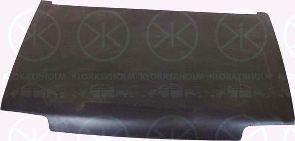 Klokkerholm 6024280 Капот 6024280: Купити в Україні - Добра ціна на EXIST.UA!