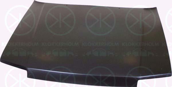 Klokkerholm 6045280 Капот 6045280: Купити в Україні - Добра ціна на EXIST.UA!
