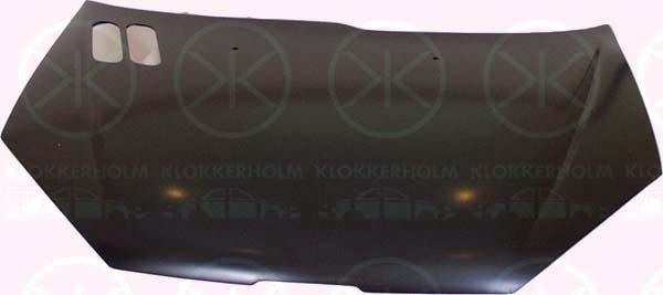 Klokkerholm 5507280 Капот 5507280: Купити в Україні - Добра ціна на EXIST.UA!