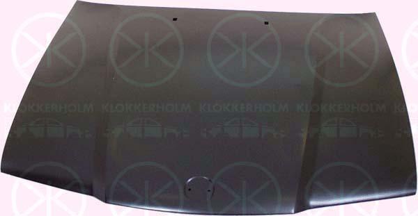 Klokkerholm 0060280 Капот 0060280: Купити в Україні - Добра ціна на EXIST.UA!
