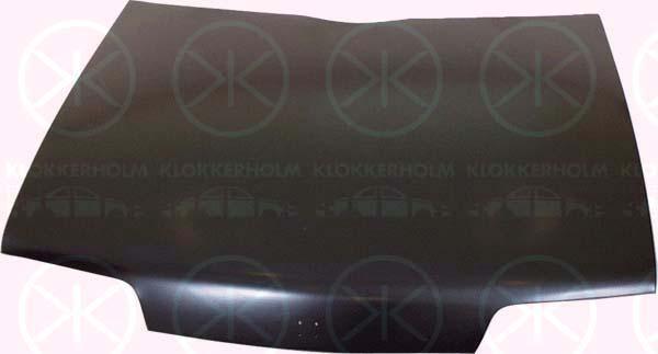 Klokkerholm 0521280 Капот 0521280: Купити в Україні - Добра ціна на EXIST.UA!