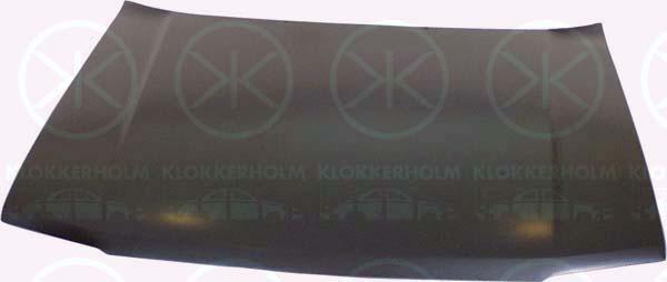 Klokkerholm 5512280 Капот 5512280: Купити в Україні - Добра ціна на EXIST.UA!