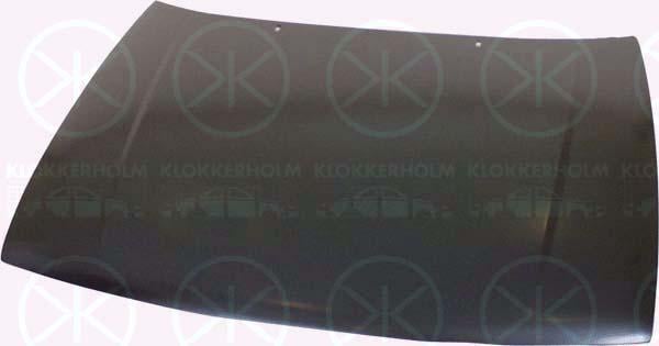 Klokkerholm 6607280 Капот 6607280: Купити в Україні - Добра ціна на EXIST.UA!