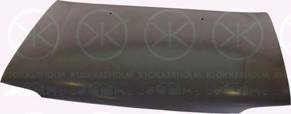 Klokkerholm 8107280 Капот 8107280: Купити в Україні - Добра ціна на EXIST.UA!