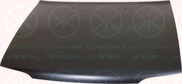 Klokkerholm 8110280 Капот 8110280: Купити в Україні - Добра ціна на EXIST.UA!
