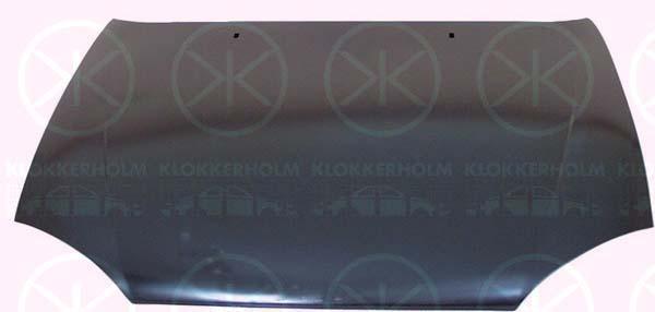 Klokkerholm 2563282 Капот 2563282: Купити в Україні - Добра ціна на EXIST.UA!