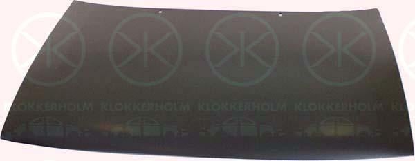 Klokkerholm 6615280 Капот 6615280: Купити в Україні - Добра ціна на EXIST.UA!