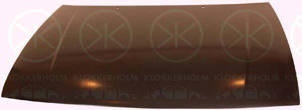 Klokkerholm 6645280 Капот 6645280: Купити в Україні - Добра ціна на EXIST.UA!