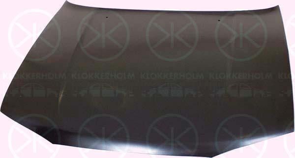 Klokkerholm 6711280 Капот 6711280: Купити в Україні - Добра ціна на EXIST.UA!