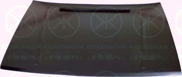 Klokkerholm 7512280 Капот 7512280: Купити в Україні - Добра ціна на EXIST.UA!