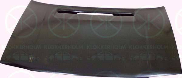 Klokkerholm 7513280 Капот 7513280: Купити в Україні - Добра ціна на EXIST.UA!