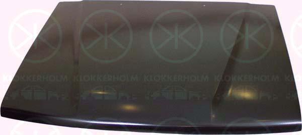 Klokkerholm 8103280 Капот 8103280: Купити в Україні - Добра ціна на EXIST.UA!
