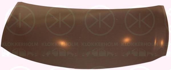 Klokkerholm 6033280 Капот 6033280: Купити в Україні - Добра ціна на EXIST.UA!