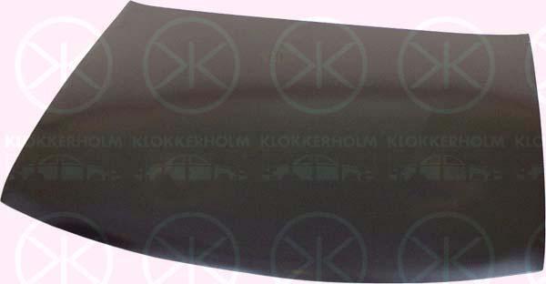 Klokkerholm 3153280 Капот 3153280: Купити в Україні - Добра ціна на EXIST.UA!
