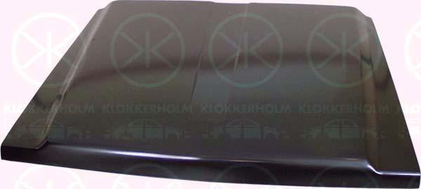 Klokkerholm 1645 280 Капот 1645280: Купити в Україні - Добра ціна на EXIST.UA!