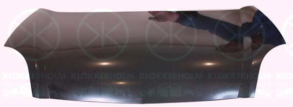 Klokkerholm 6010281 Капот 6010281: Купити в Україні - Добра ціна на EXIST.UA!